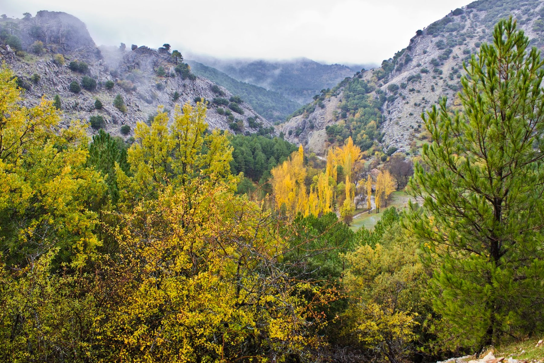 Sierra de Cazorla, enviroment